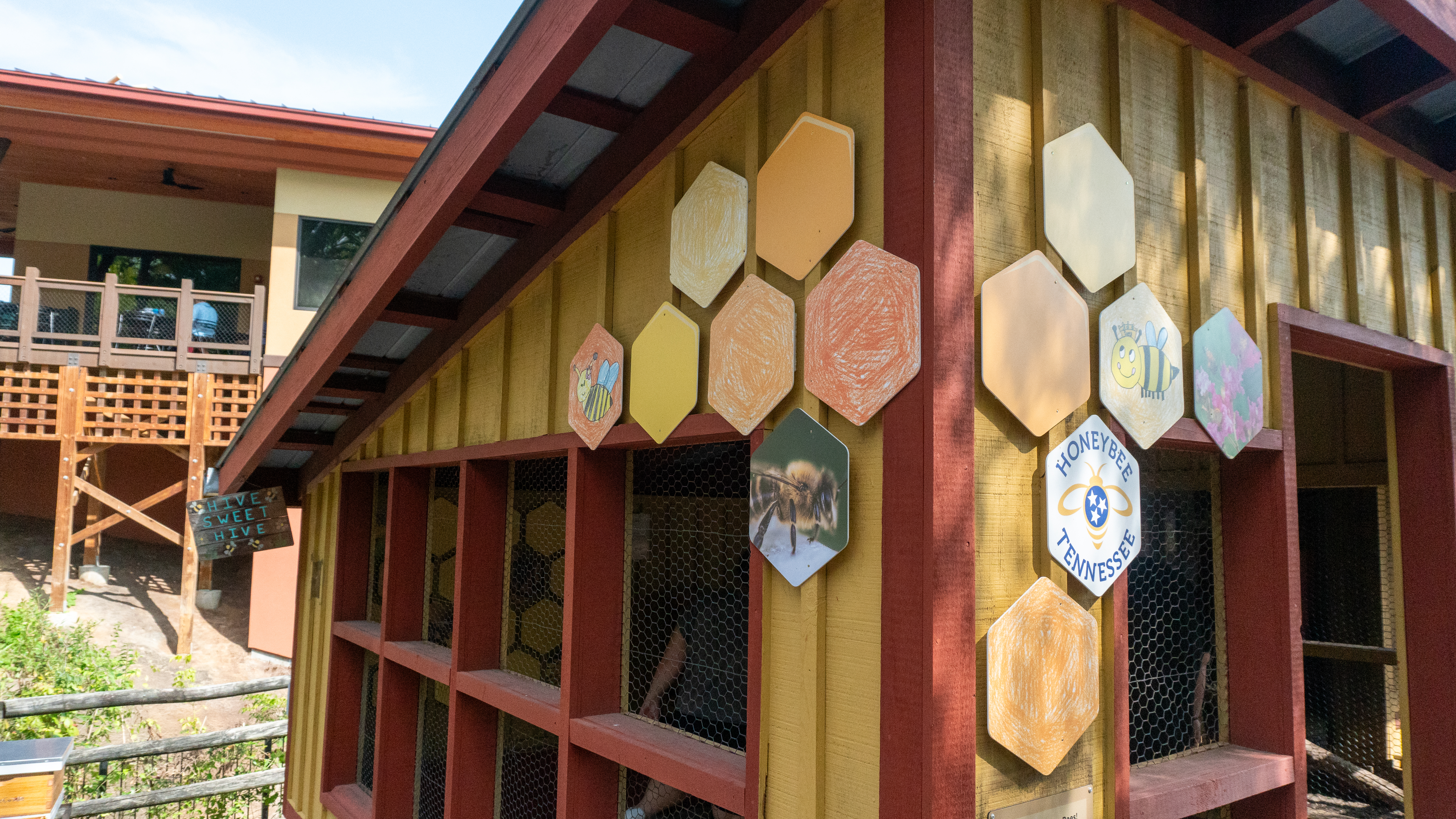 Honey Bee Zoo Exhibit