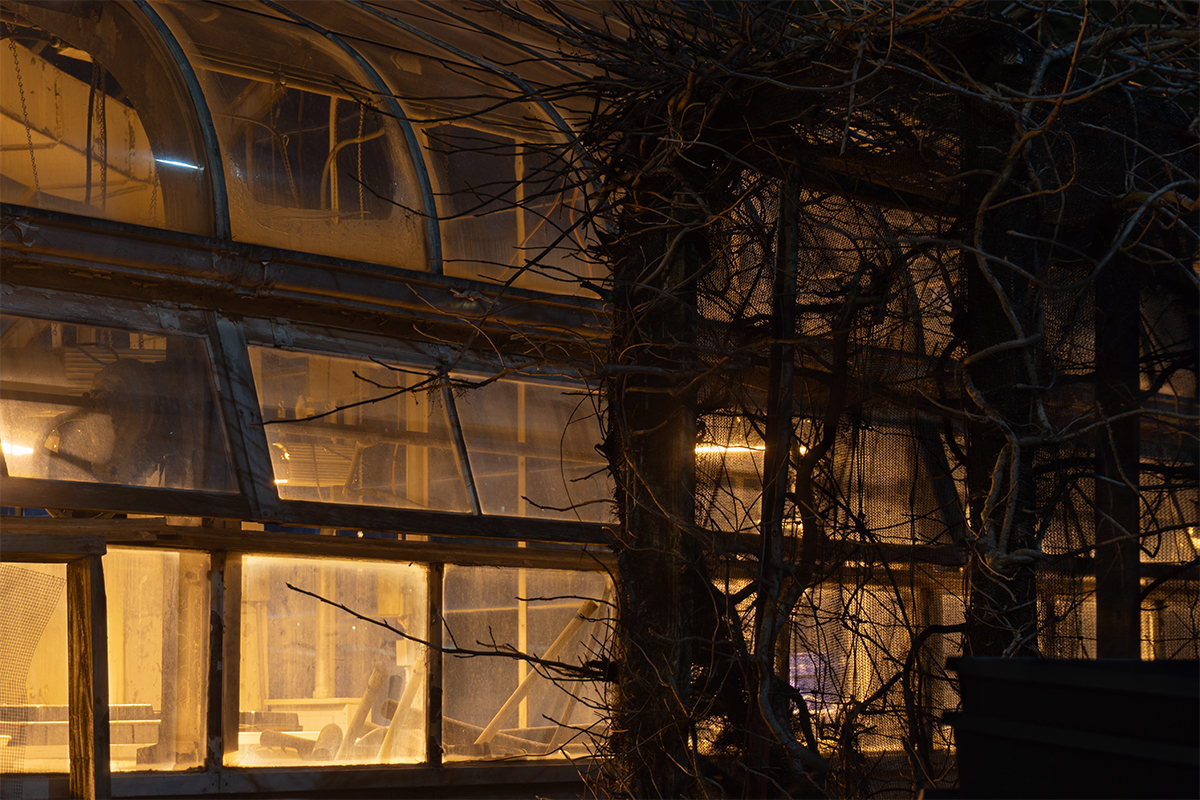 Greenhouse Photo